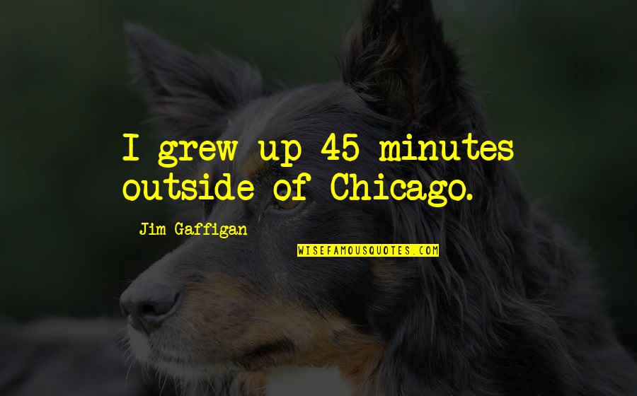 Trothai Quotes By Jim Gaffigan: I grew up 45 minutes outside of Chicago.