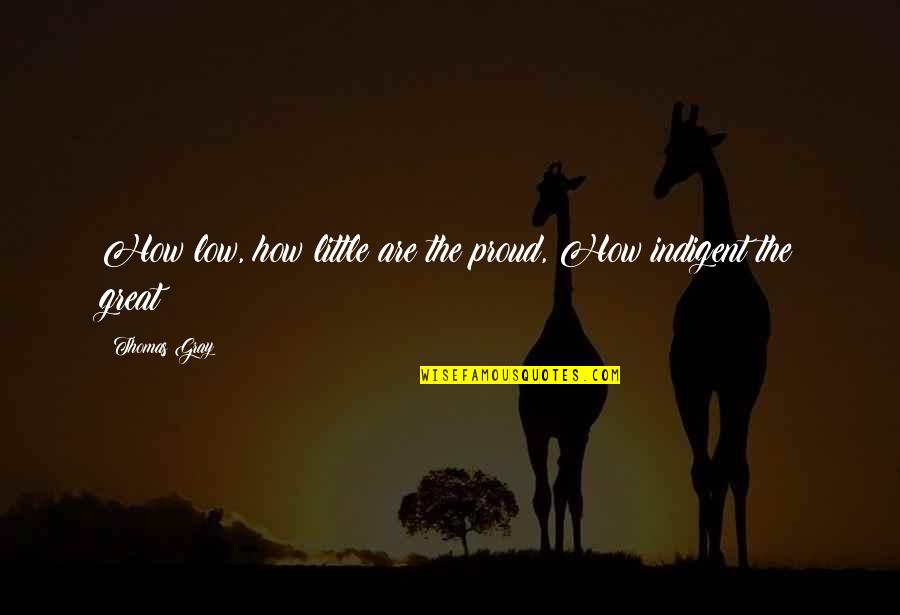 Trots Meter Quotes By Thomas Gray: How low, how little are the proud, How