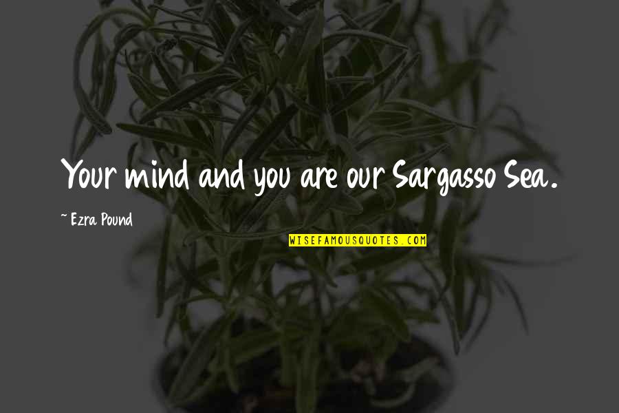 Trott Quotes By Ezra Pound: Your mind and you are our Sargasso Sea.