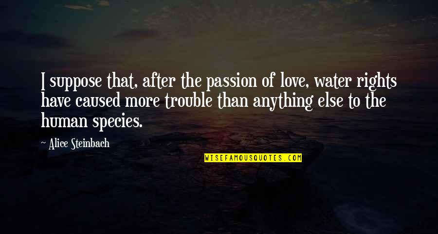 Trouble Love Quotes By Alice Steinbach: I suppose that, after the passion of love, Trouble Love Quotes By Alice Steinbach: I suppose that, after the passion of love,