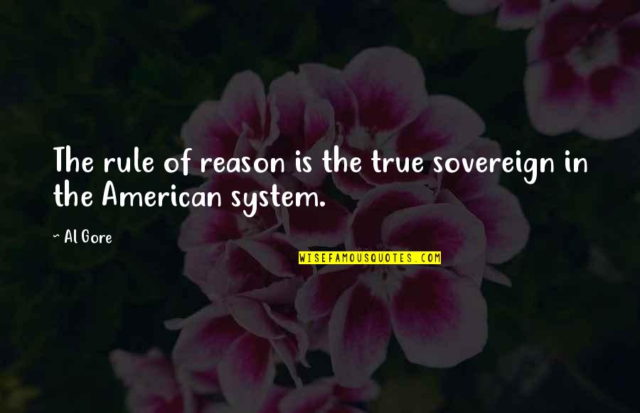 Troubled Friendships Quotes By Al Gore: The rule of reason is the true sovereign