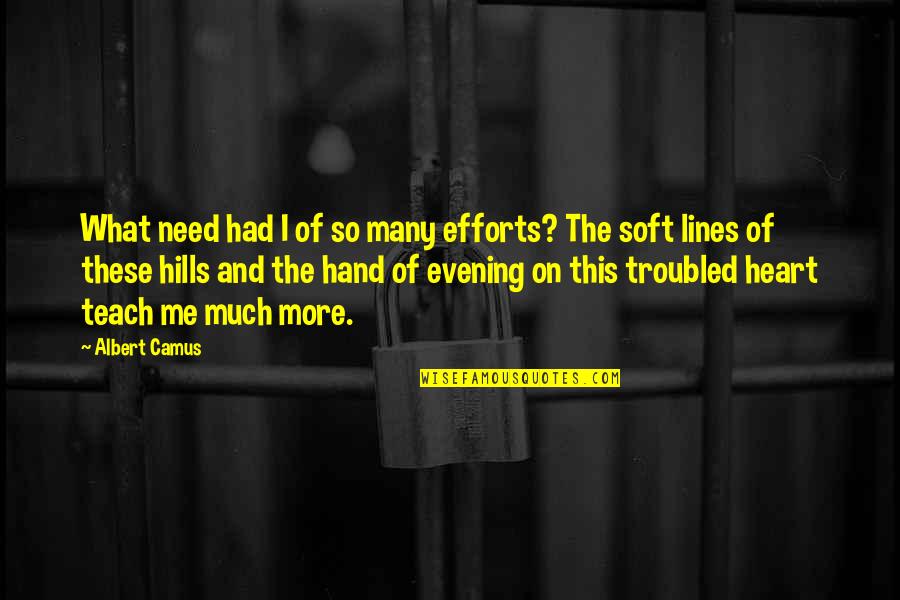 Troubled Heart Quotes By Albert Camus: What need had I of so many efforts?
