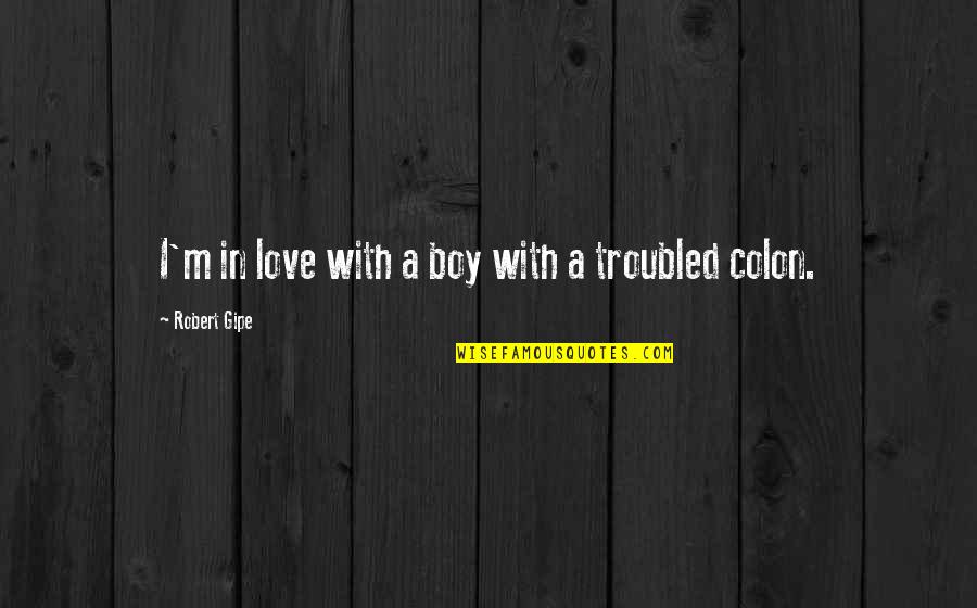 Troubled Love Quotes By Robert Gipe: I'm in love with a boy with a