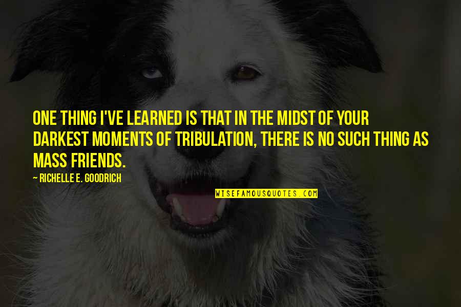 Troubles And Tribulations Quotes By Richelle E. Goodrich: One thing I've learned is that in the