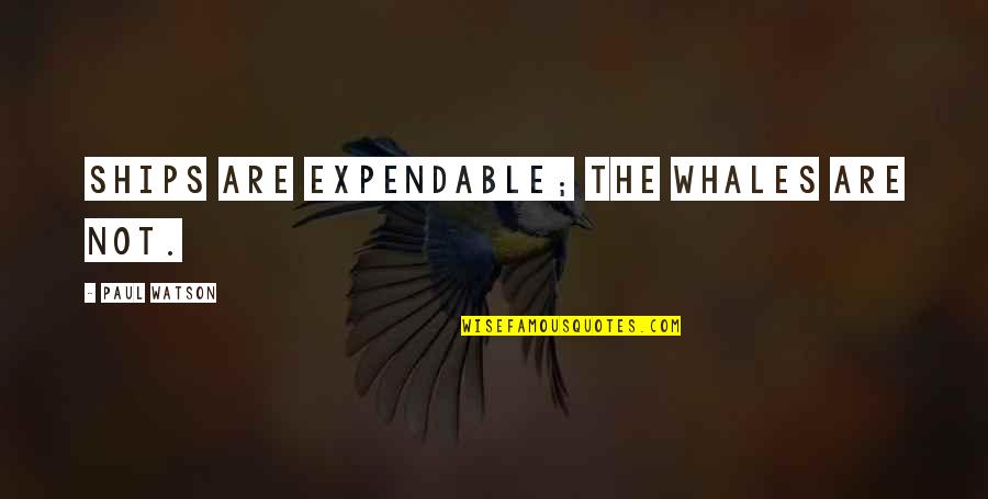 Troublesome Life Quotes By Paul Watson: Ships are expendable; the whales are not. Troublesome Life Quotes By Paul Watson: Ships are expendable; the whales are not.