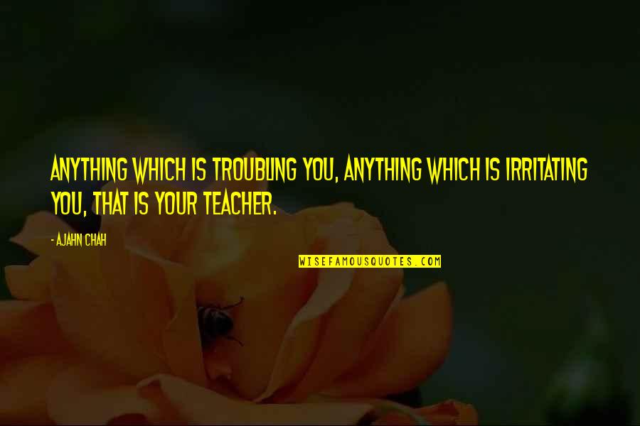 Troubling You Quotes By Ajahn Chah: Anything which is troubling you, anything which is