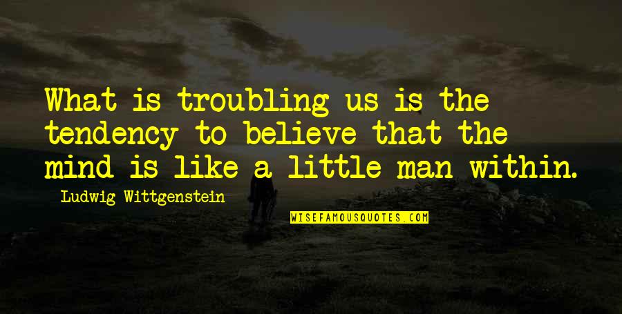 Troubling You Quotes By Ludwig Wittgenstein: What is troubling us is the tendency to