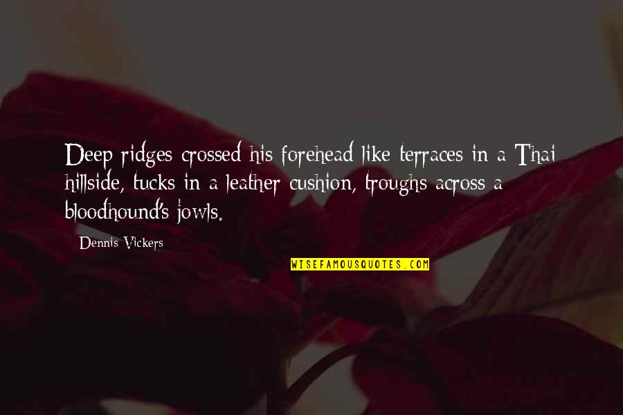 Troughs Quotes By Dennis Vickers: Deep ridges crossed his forehead like terraces in
