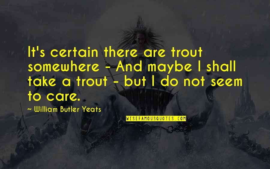 Trout's Quotes By William Butler Yeats: It's certain there are trout somewhere - And