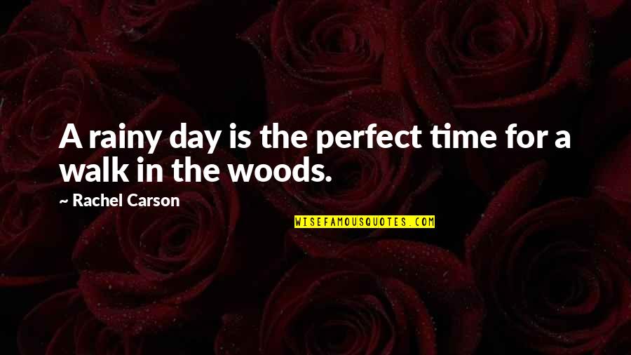 Trouvera T Il Quotes By Rachel Carson: A rainy day is the perfect time for Trouvera T Il Quotes By Rachel Carson: A rainy day is the perfect time for