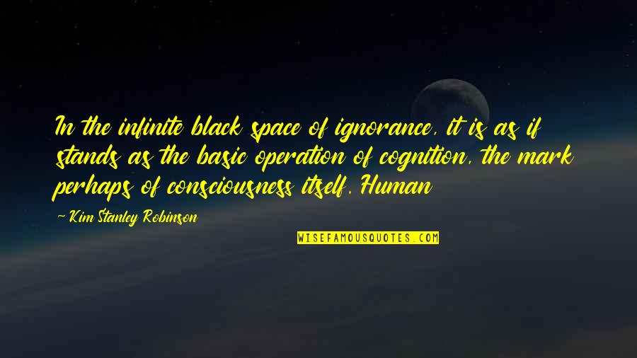 Troy Achilles And Briseis Quotes By Kim Stanley Robinson: In the infinite black space of ignorance, it