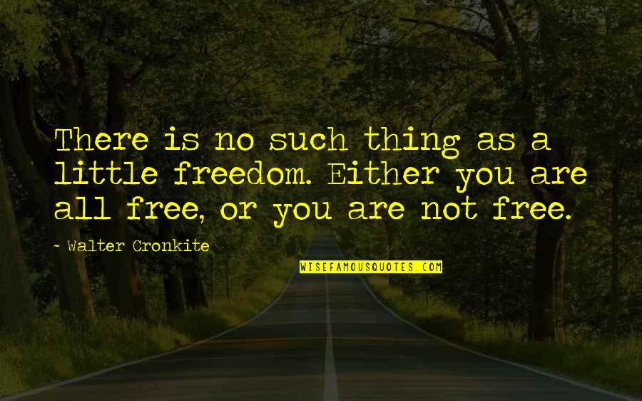 Troy Aikman Motivational Quotes By Walter Cronkite: There is no such thing as a little Troy Aikman Motivational Quotes By Walter Cronkite: There is no such thing as a little