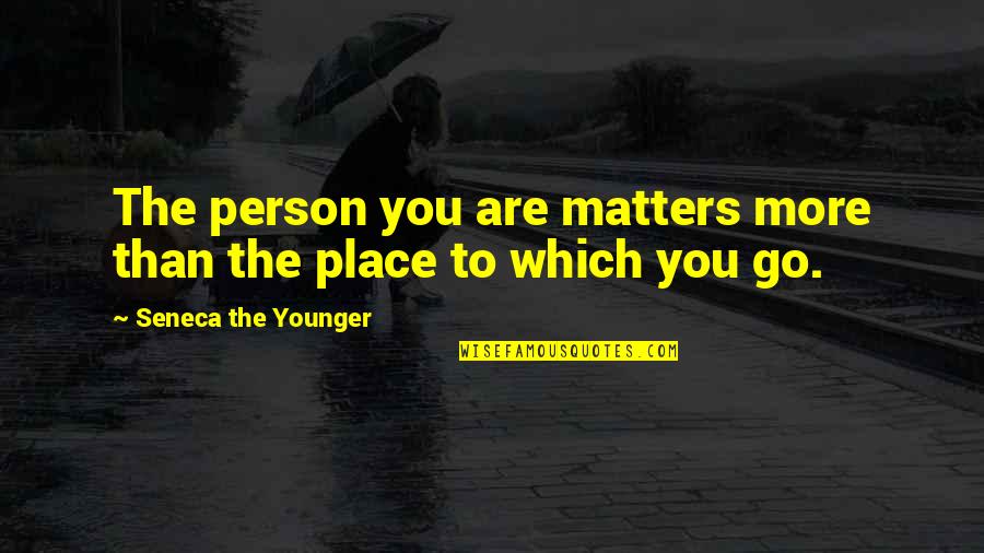 Troy And Abed Quotes By Seneca The Younger: The person you are matters more than the