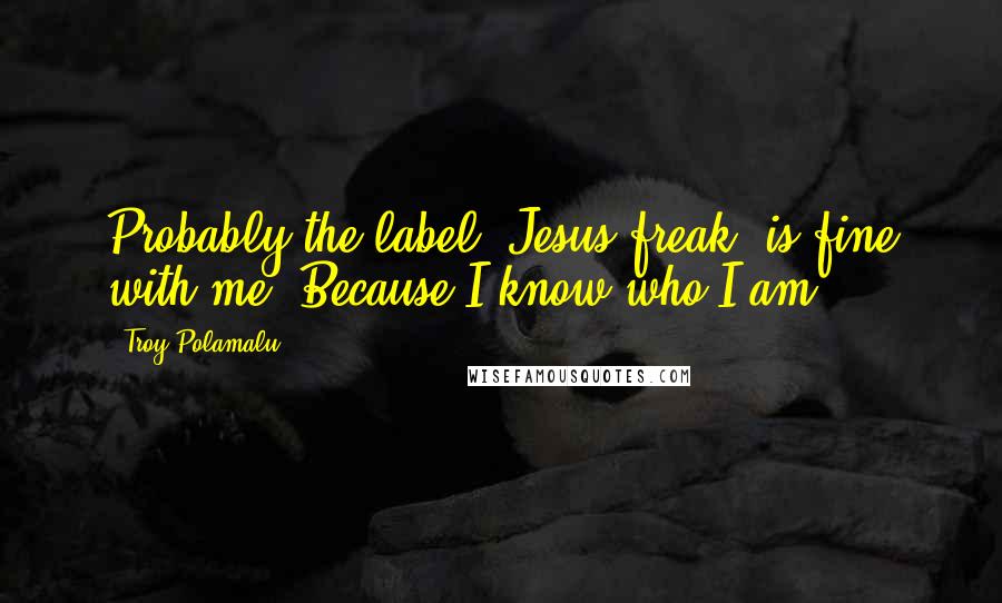 Troy Polamalu quotes: Probably the label 'Jesus freak' is fine with me. Because I know who I am.