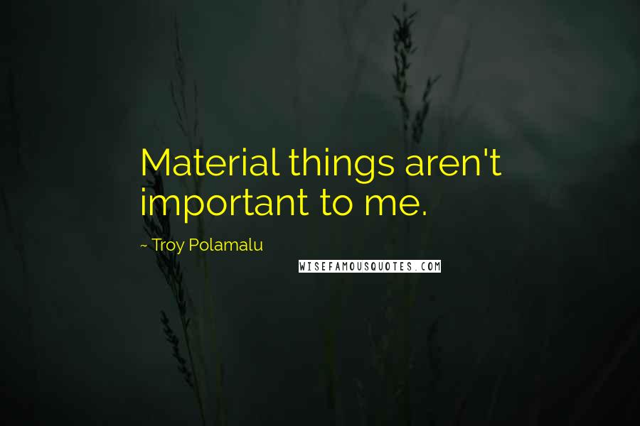 Troy Polamalu quotes: Material things aren't important to me.