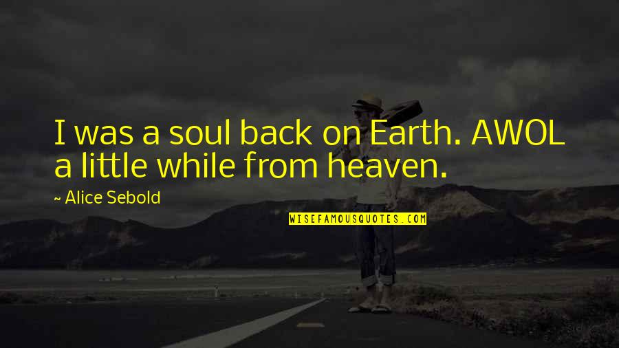 Truble Quotes By Alice Sebold: I was a soul back on Earth. AWOL
