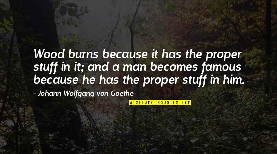 Trudee Gurley Quotes By Johann Wolfgang Von Goethe: Wood burns because it has the proper stuff