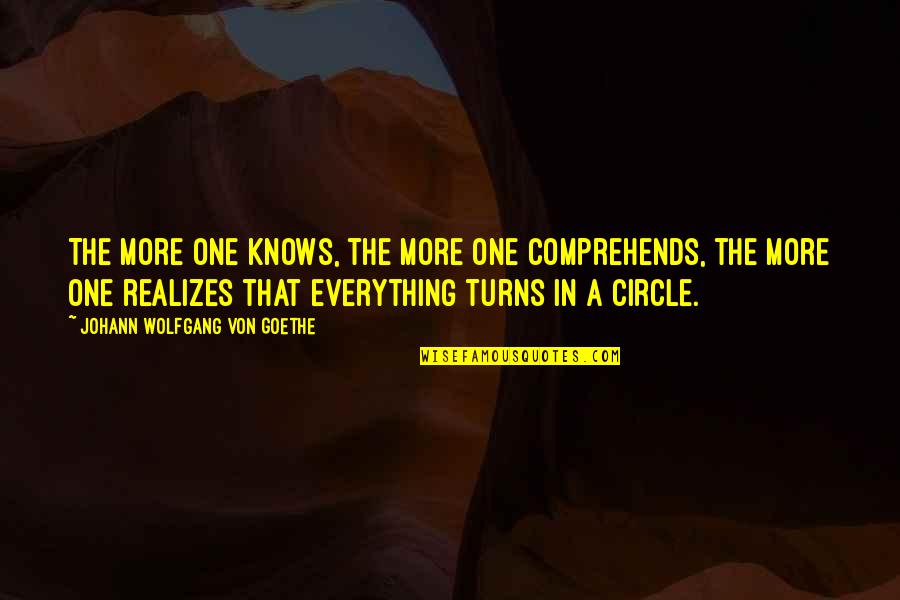 True And False Friends Quotes By Johann Wolfgang Von Goethe: The more one knows, the more one comprehends,