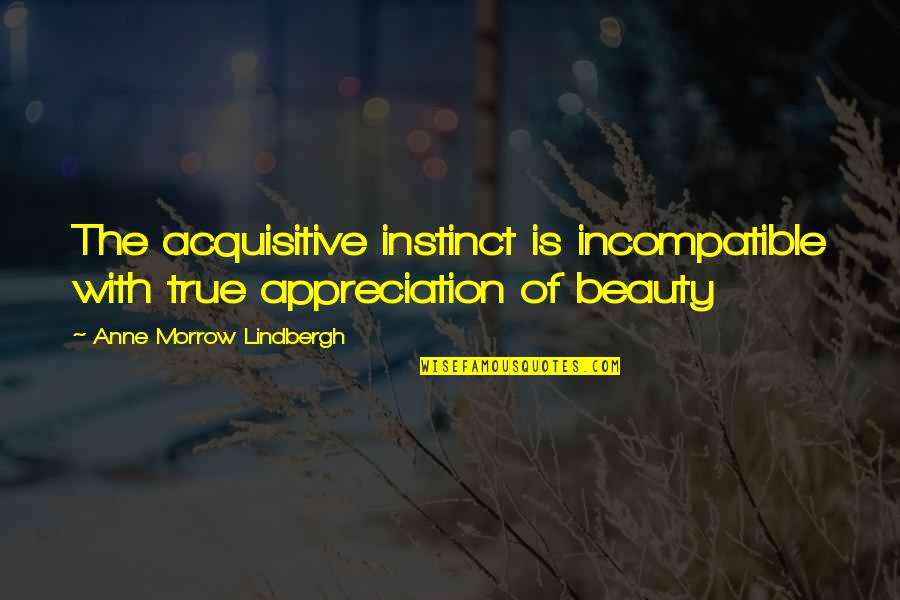 True Beauty Quotes By Anne Morrow Lindbergh: The acquisitive instinct is incompatible with true appreciation