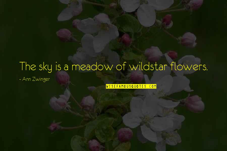 True Blood Bill Compton Quotes By Ann Zwinger: The sky is a meadow of wildstar flowers.