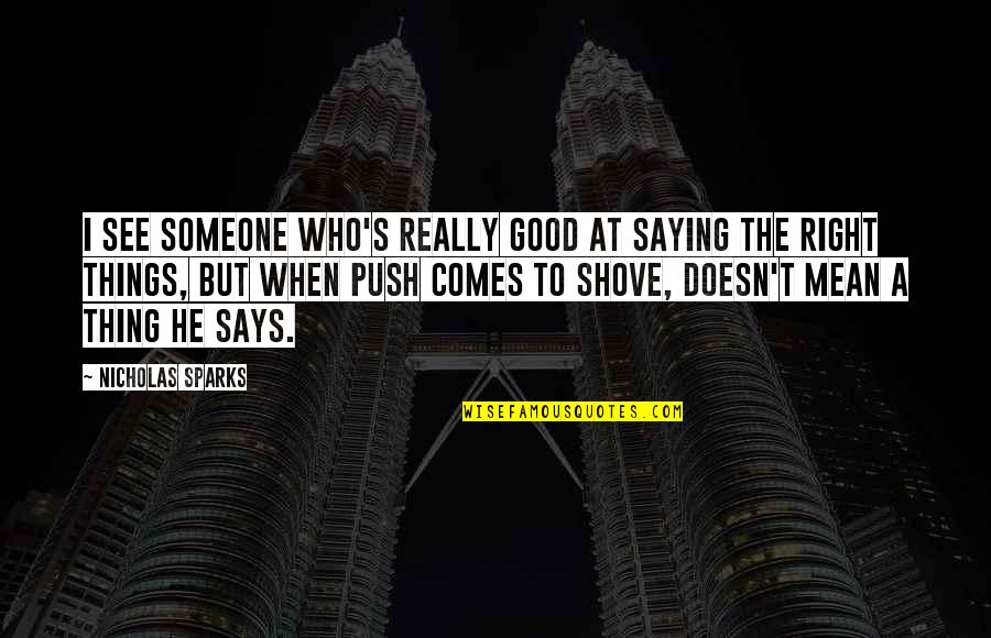 True But Mean Quotes By Nicholas Sparks: I see someone who's really good at saying
