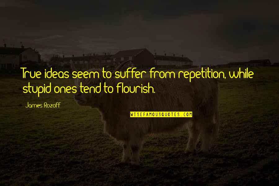 True But Stupid Quotes By James Rozoff: True ideas seem to suffer from repetition, while