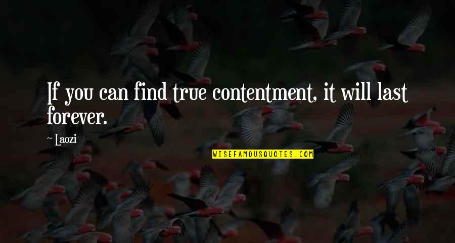 True Contentment Quotes By Laozi: If you can find true contentment, it will