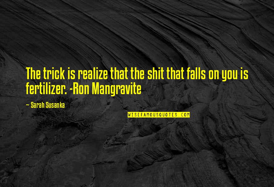 True Damage Qiyana Quotes By Sarah Susanka: The trick is realize that the shit that