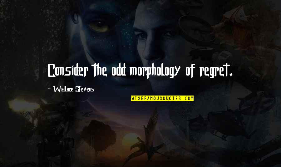 True Friend And Distance Quotes By Wallace Stevens: Consider the odd morphology of regret. True Friend And Distance Quotes By Wallace Stevens: Consider the odd morphology of regret.