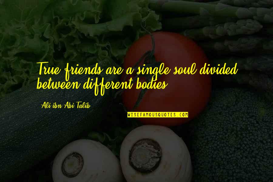 True Friends Are Quotes By Ali Ibn Abi Talib: True friends are a single soul divided between