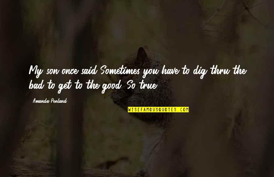 True Good Quotes By Amanda Penland: My son once said Sometimes you have to