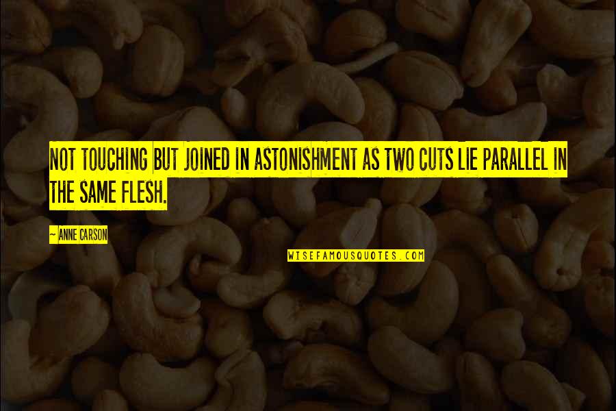 True Heart Touching Love Quotes By Anne Carson: Not touching but joined in astonishment as two