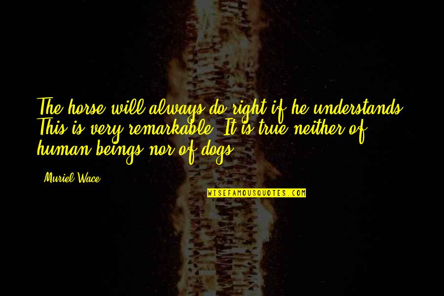 True Human Right Quotes By Muriel Wace: The horse will always do right if he