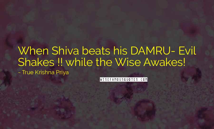 True Krishna Priya quotes: When Shiva beats his DAMRU- Evil Shakes !! while the Wise Awakes!