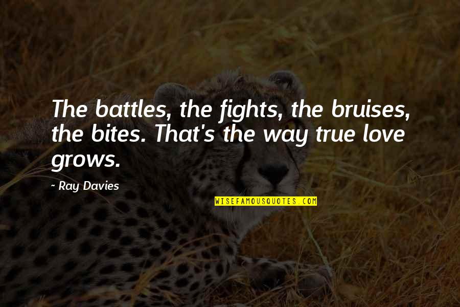 True Love And Fighting Quotes By Ray Davies: The battles, the fights, the bruises, the bites.