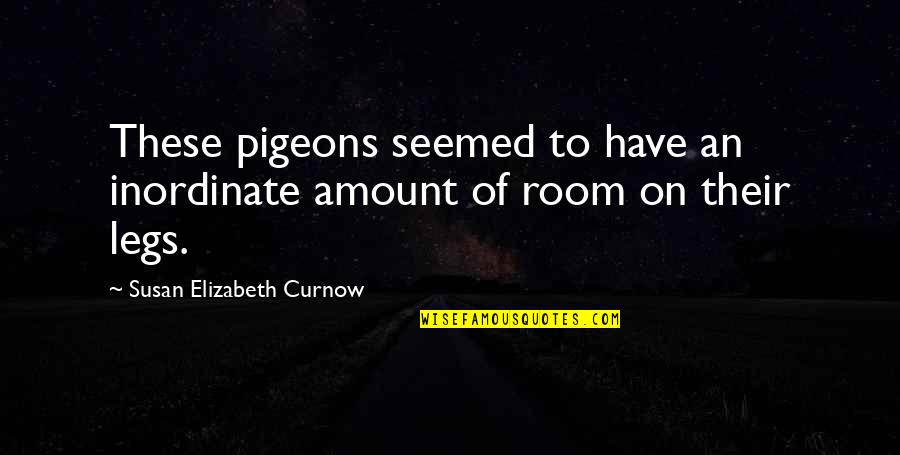 True Love Cute Quotes By Susan Elizabeth Curnow: These pigeons seemed to have an inordinate amount