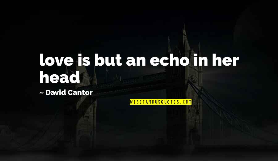 True Love Story Quotes By David Cantor: love is but an echo in her head