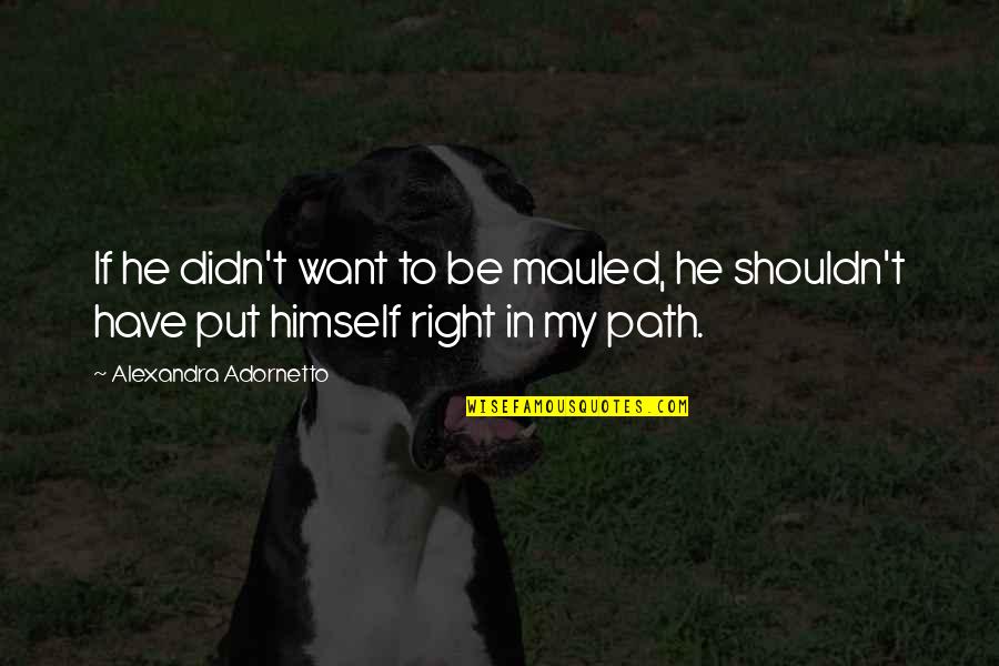 True Manhood Quotes By Alexandra Adornetto: If he didn't want to be mauled, he