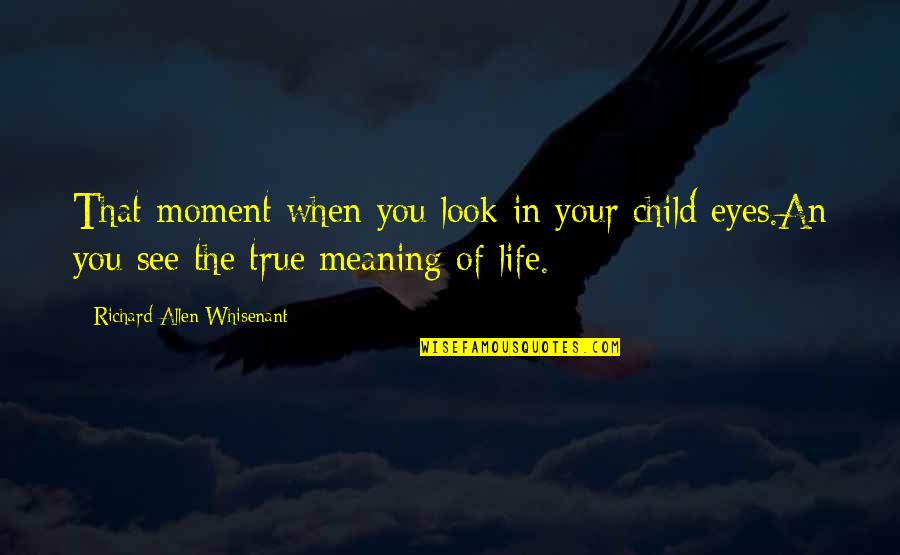 True Meaning Of Life Quotes By Richard Allen Whisenant: That moment when you look in your child