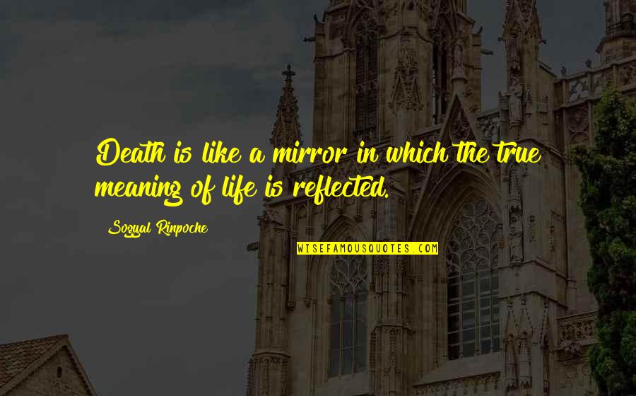 True Meaning Of Life Quotes By Sogyal Rinpoche: Death is like a mirror in which the