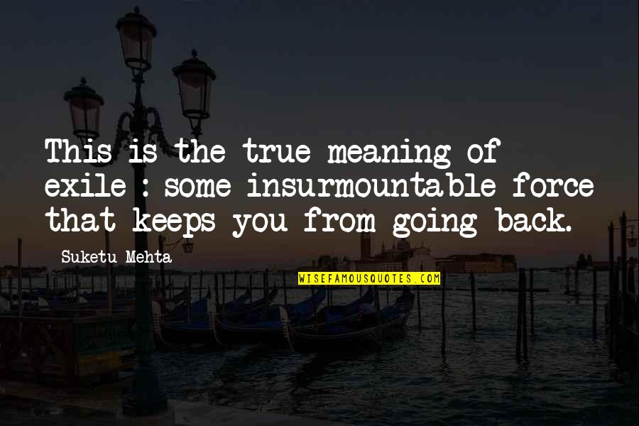 True Meaning Of Life Quotes By Suketu Mehta: This is the true meaning of exile :