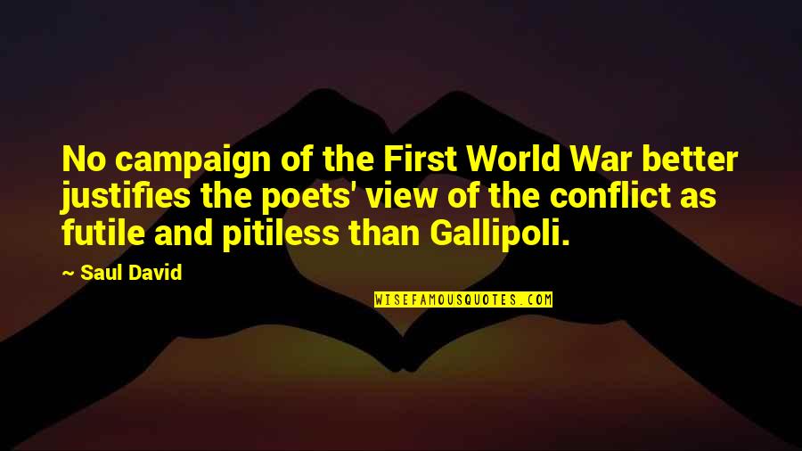 True Measure Of Success Quotes By Saul David: No campaign of the First World War better