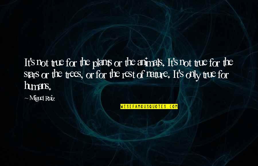 True Nature Of Humans Quotes By Miguel Ruiz: It's not true for the plants or the True Nature Of Humans Quotes By Miguel Ruiz: It's not true for the plants or the