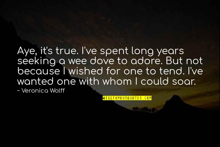 True Not True Quotes By Veronica Wolff: Aye, it's true. I've spent long years seeking