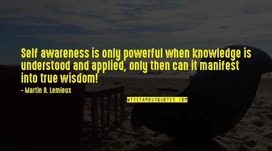 True Powerful Quotes By Martin R. Lemieux: Self awareness is only powerful when knowledge is