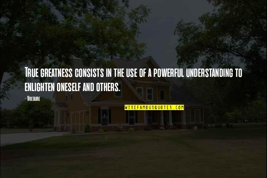 True Powerful Quotes By Voltaire: True greatness consists in the use of a