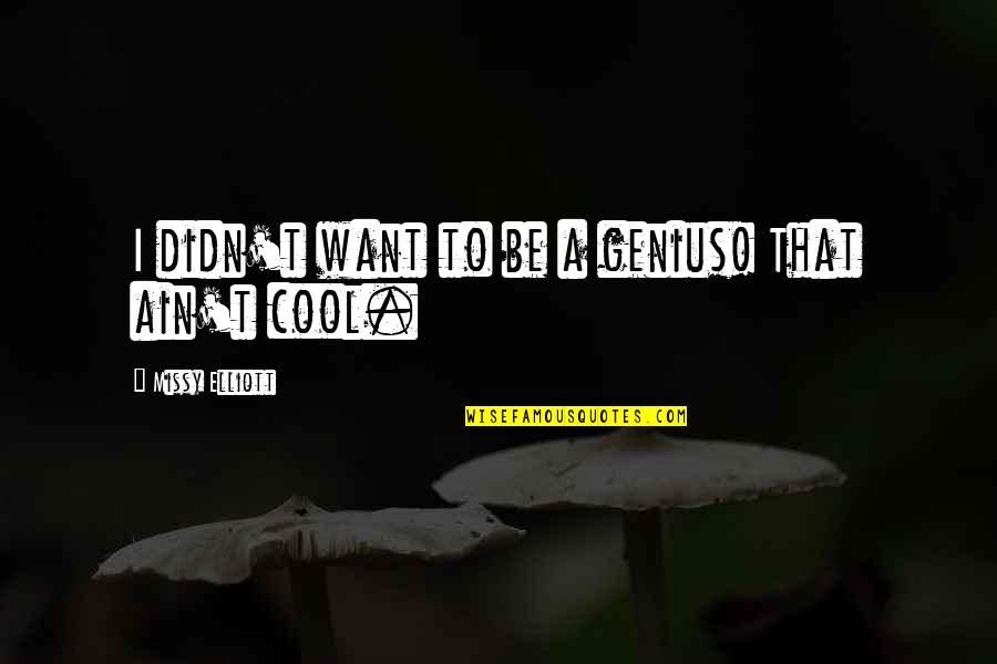 True Proverbs And Quotes By Missy Elliott: I didn't want to be a genius! That
