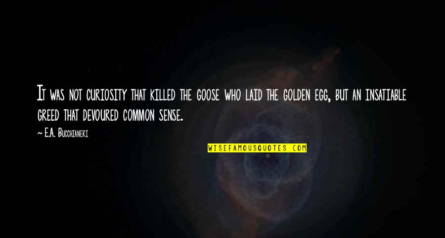 True Sayings Or Quotes By E.A. Bucchianeri: It was not curiosity that killed the goose