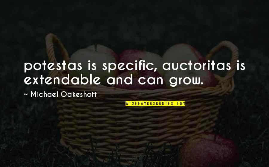 True Soul Connection Quotes By Michael Oakeshott: potestas is specific, auctoritas is extendable and can