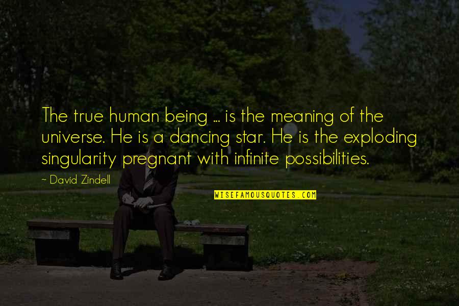 True Star Quotes By David Zindell: The true human being ... is the meaning True Star Quotes By David Zindell: The true human being ... is the meaning